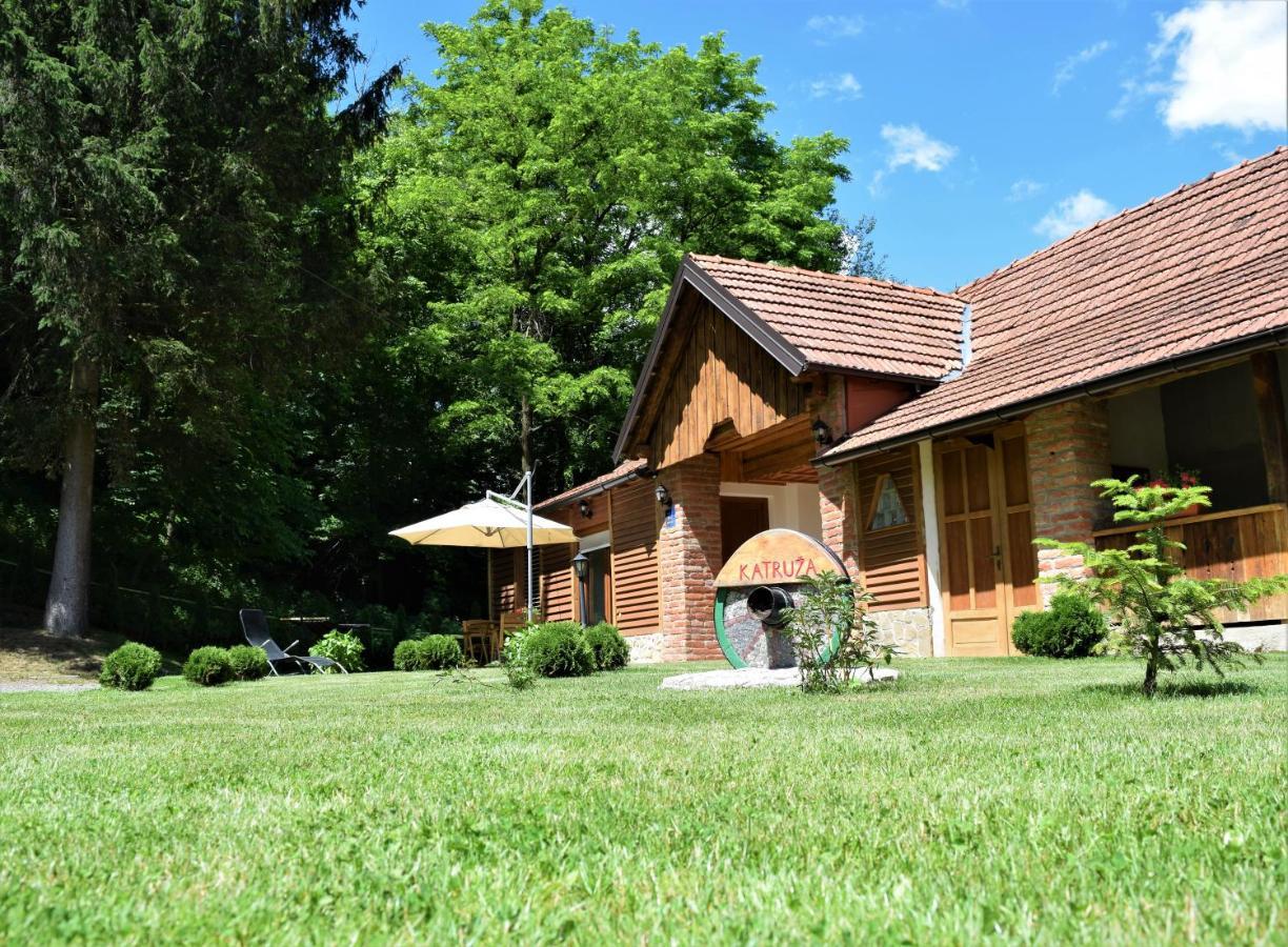 Katruza Apartment Sveti Martin Na Muri